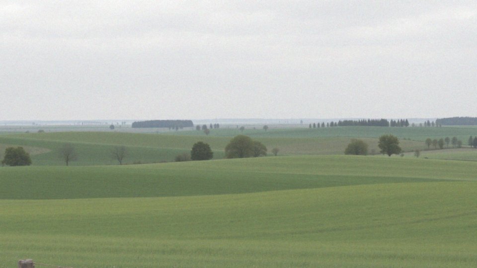 Jakimi granicami dzielą się największe państwa Europy?