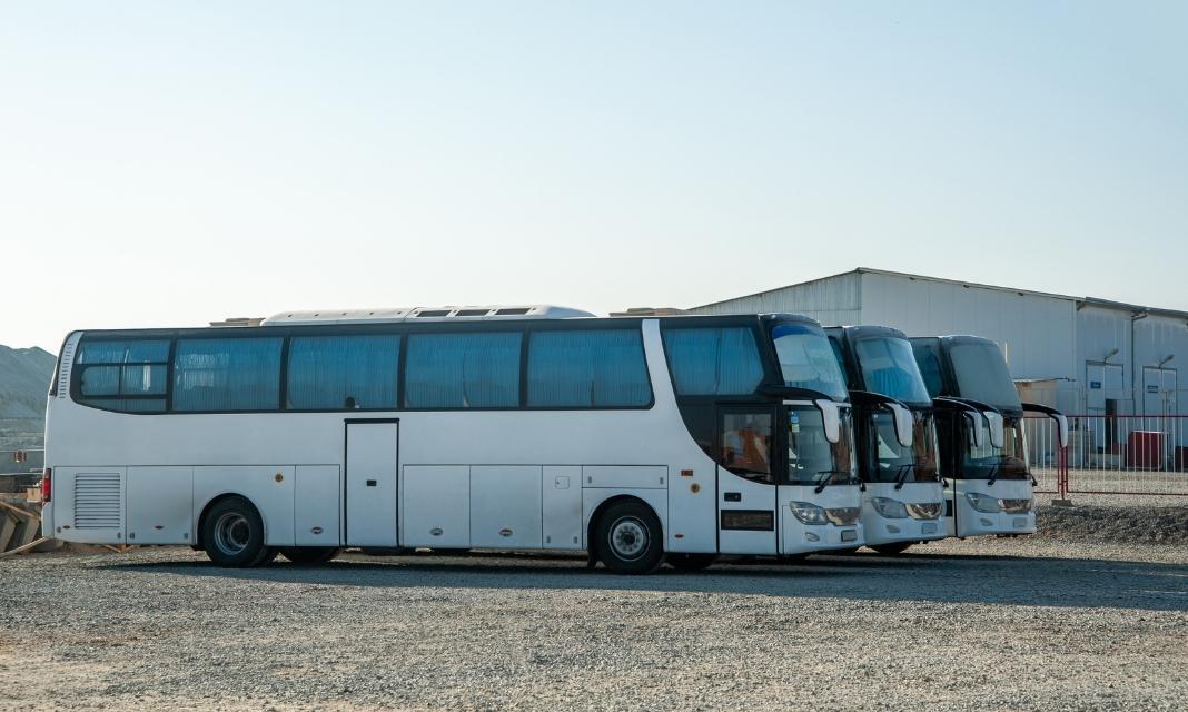 Wypożyczalnia Busów Inowrocław
